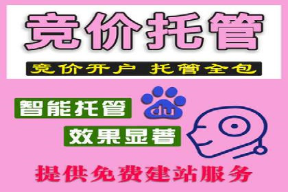 SEM竞价优化案例：品牌曝光与转化双提升